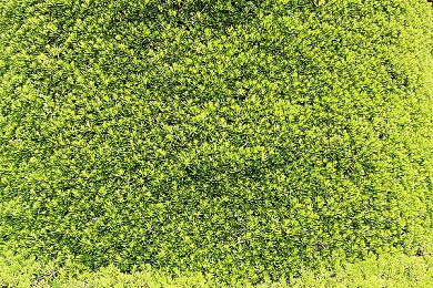 《刺客信条英灵殿》总监确认领导《死亡空间：重制版》的开发